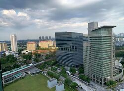 The Rochester Residences (D5), Apartment #454673751